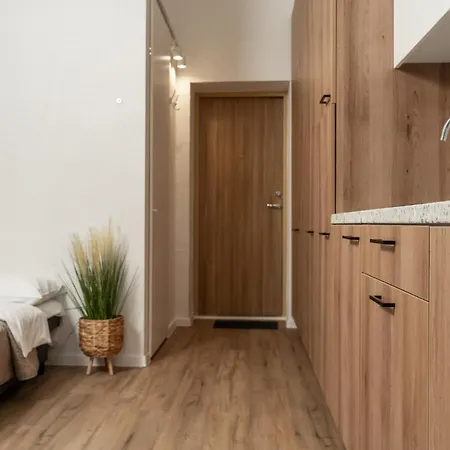 Air 304 Apartment Vilnius